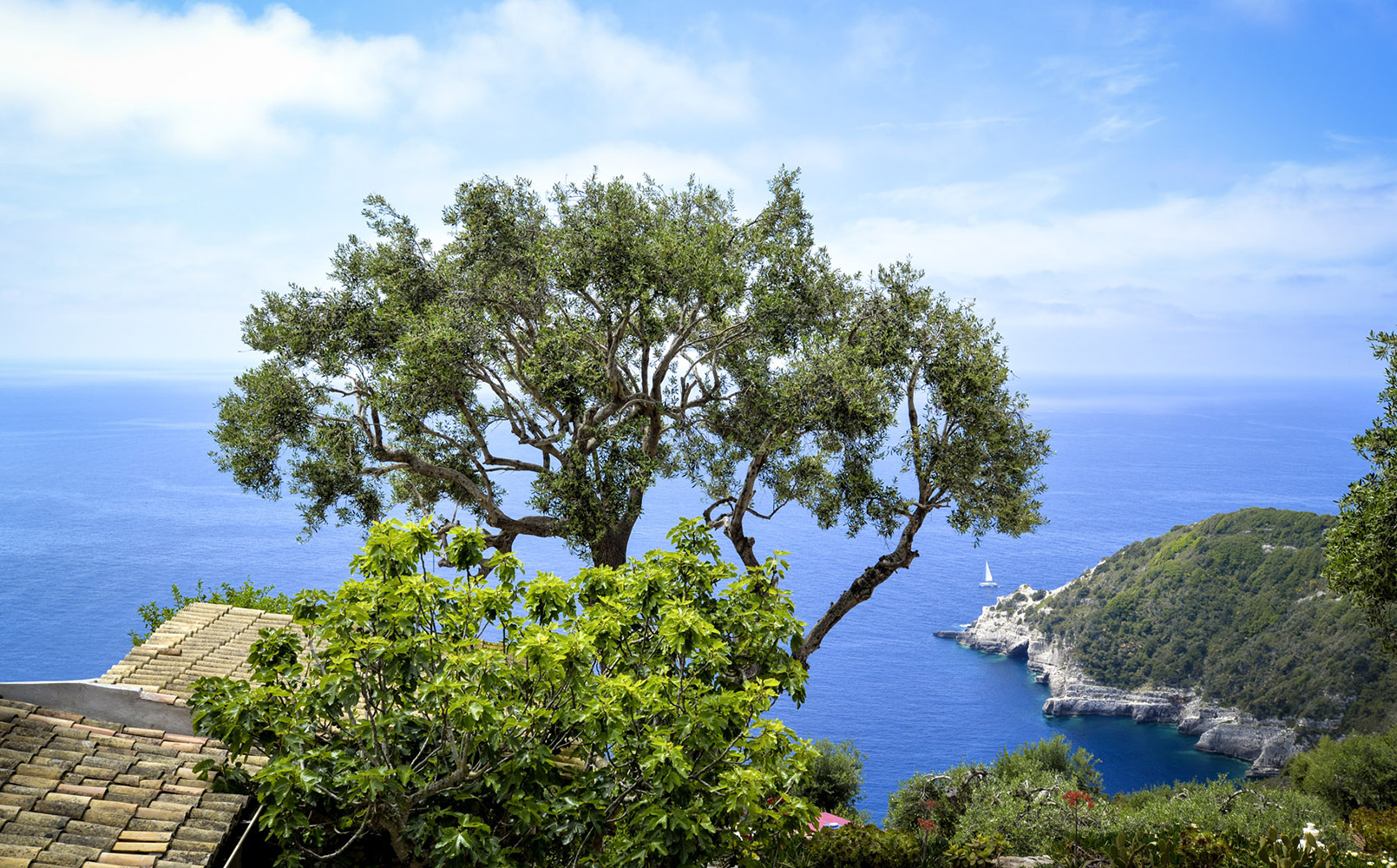 Paxos House Holiday Rental - Zoh
